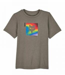 FOX T-SHIRT YOUTH PREM GREY